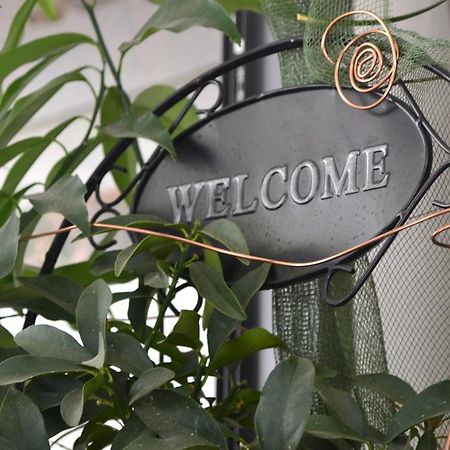 רימיני Hotel Alfredo'S מראה חיצוני תמונה